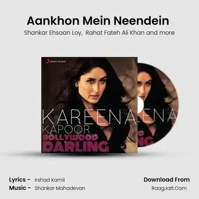 Aankhon Mein Neendein (From "We Are Family") Cover