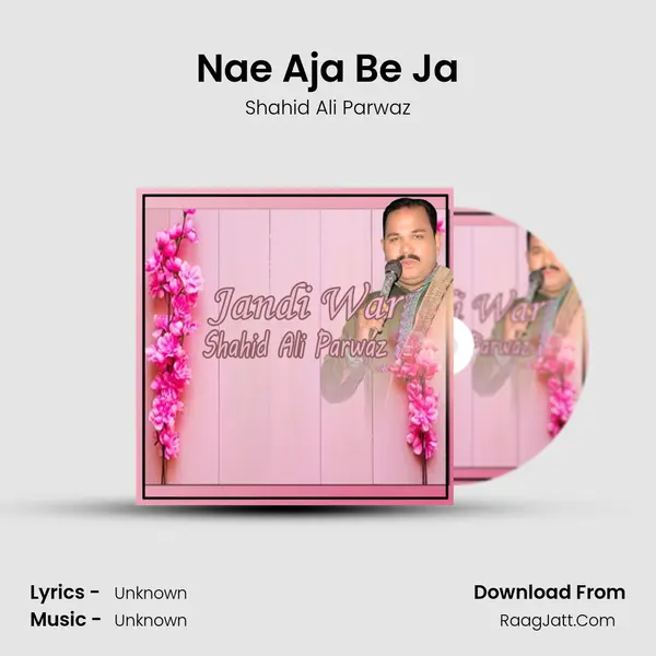 Nae Aja Be Ja MP3 Song by Shahid Ali Parwaz Cover