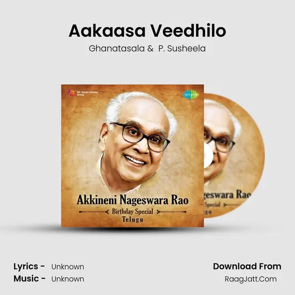Aakaasa Veedhilo Cover