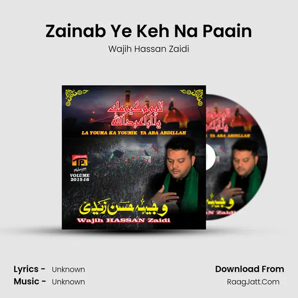 Zainab Ye Keh Na Paain MP3 Song by Wajih Hassan Zaidi Cover