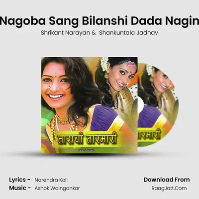 Nagoba Sang Bilanshi Dada Nagin mp3 song