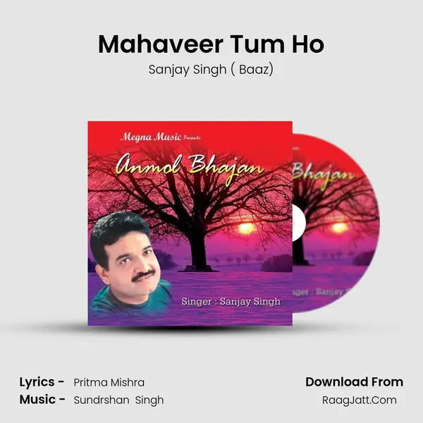 Mahaveer Tum Ho MP3 Song by Sanjay Singh ( Baaz) Cover