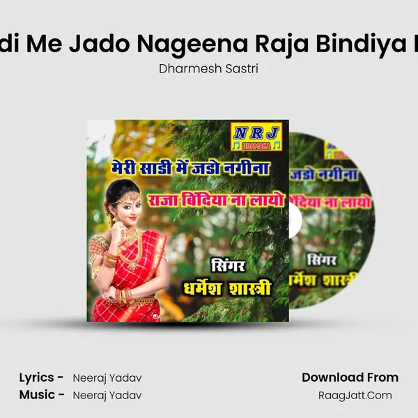 Meri Sadi Me Jado Nageena Raja Bindiya Na Layo mp3 song