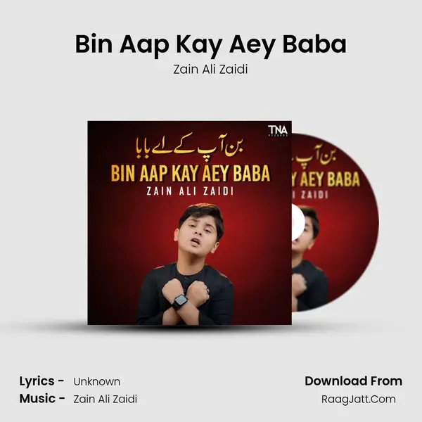 Bin Aap Kay Aey Baba MP3 Song by Zain Ali Zaidi Cover