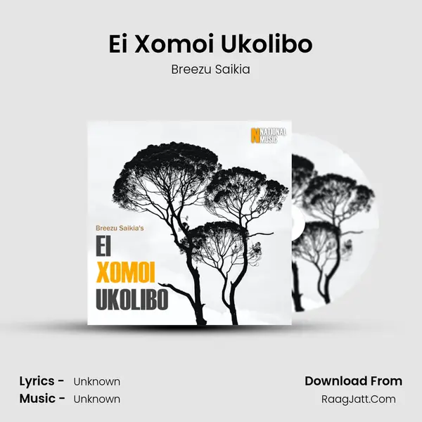 Ei Xomoi Ukolibo - Single - Breezu Saikia