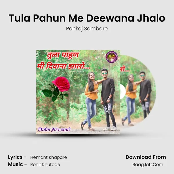 Tula Pahun Me Deewana Jhalo MP3 Song by Pankaj Sambare Cover