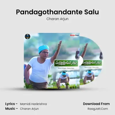 Pandagothandante Salu - Charan Arjun