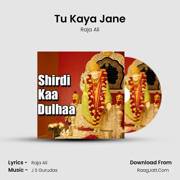 Tu Kaya Jane MP3 Song by Raja Ali Cover