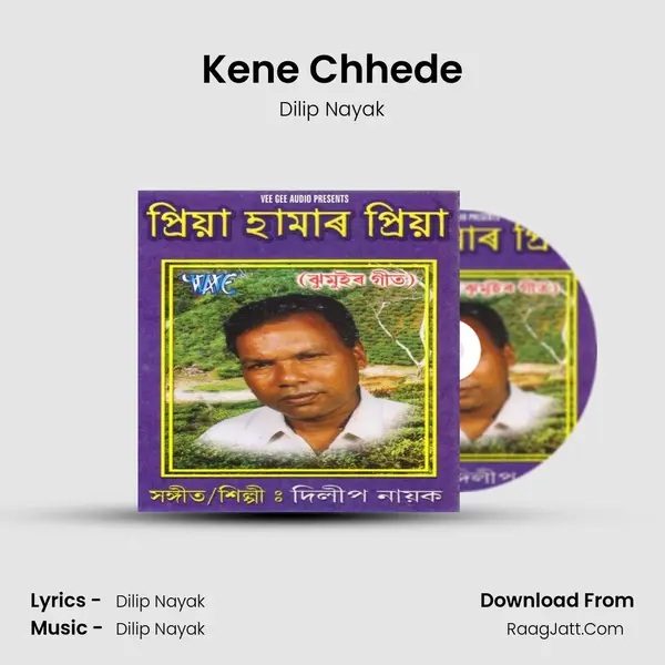 Kene Chhede MP3 Song by Dilip Nayak Cover