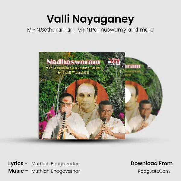 Valli Nayaganey MP3 Song by M.P.N.Sethuraman Cover