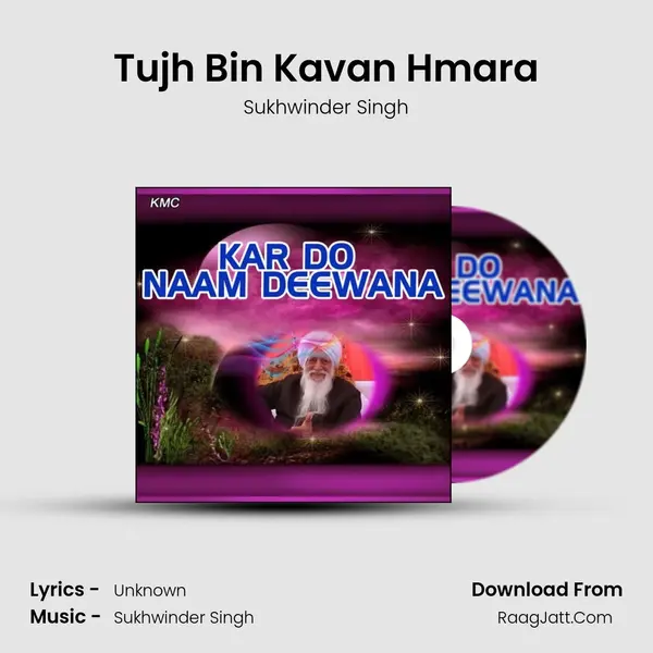 Tujh Bin Kavan Hmara MP3 Song by Sukhwinder Singh Cover