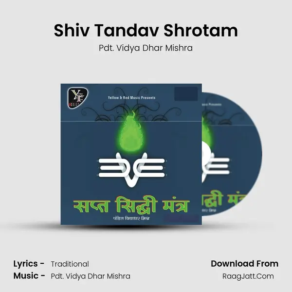 Shiv Tandav Shrotam MP3 Song by Pdt. Vidya Dhar Mishra Cover