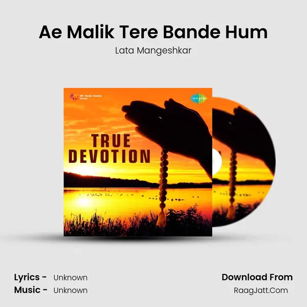 Ae Malik Tere Bande Hum Cover
