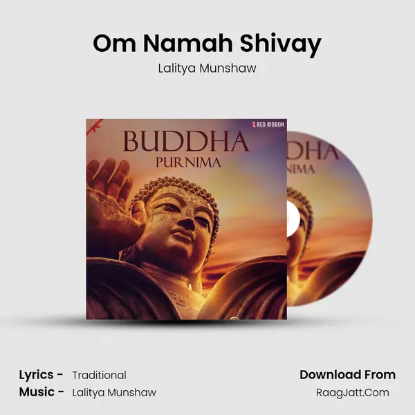 Om Namah Shivay Cover