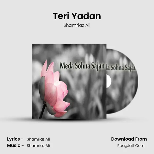Teri Yadan MP3 Song by Shamriaz Ali Cover