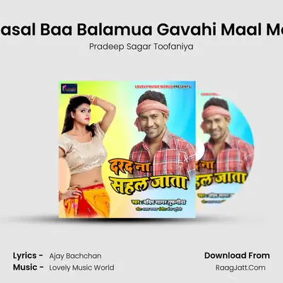 Fasal Baa Balamua Gavahi Maal Me MP3 Song by Pradeep Sagar Toofaniya Cover