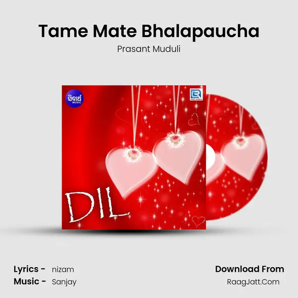 Tame Mate Bhalapaucha MP3 Song by Prasant Muduli Cover
