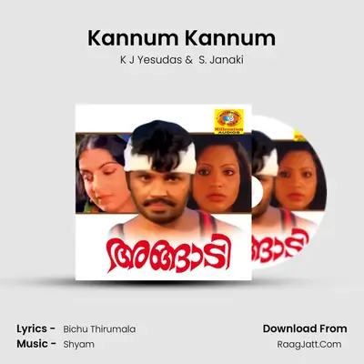 Kannum Kannum Cover