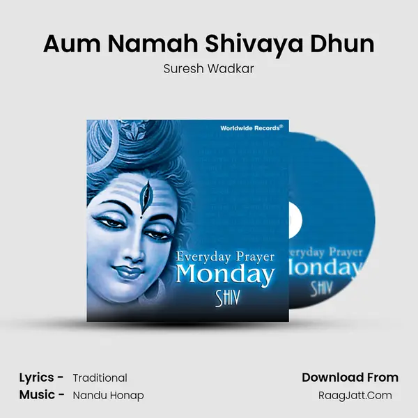 Aum Namah Shivaya Dhun MP3 Song by Suresh Wadkar Cover