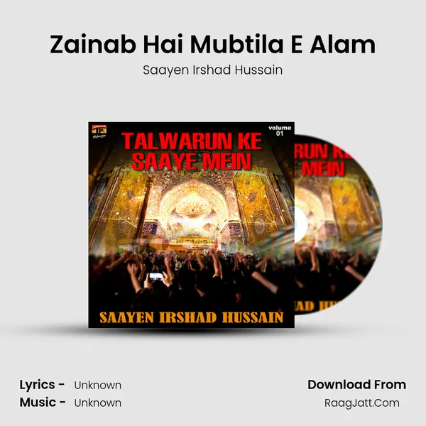 Zainab Hai Mubtila E Alam mp3 song