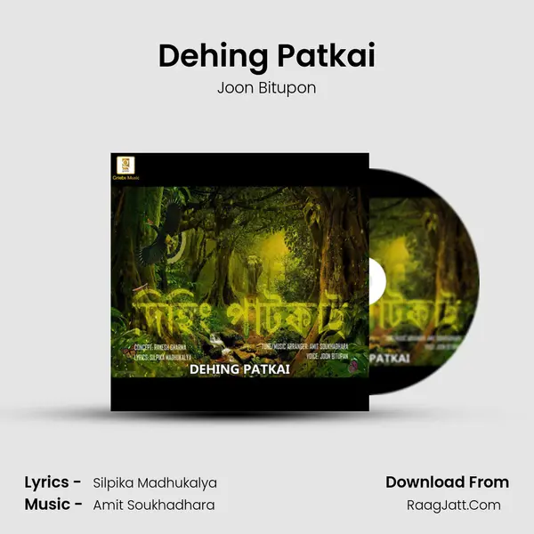 Dehing Patkai - Joon Bitupon