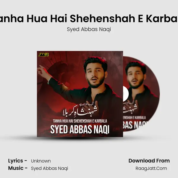 Tanha Hua Hai Shehenshah E Karbala - Single - Syed Abbas Naqi