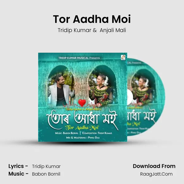Tor Aadha Moi MP3 Song by Tridip Kumar Cover