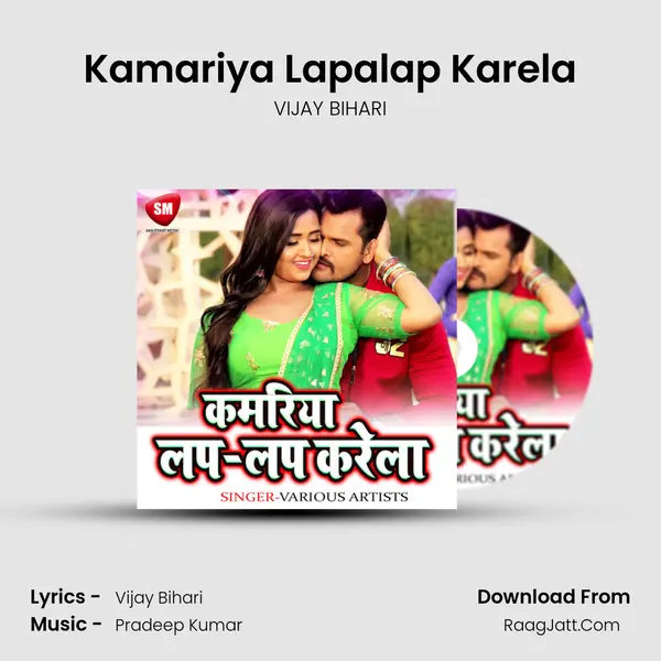 Kamariya Lapalap Karela MP3 Song by VIJAY BIHARI Cover