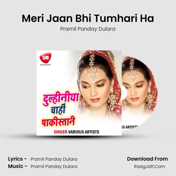 Meri Jaan Bhi Tumhari Ha MP3 Song by Pramil Panday Dulara Cover