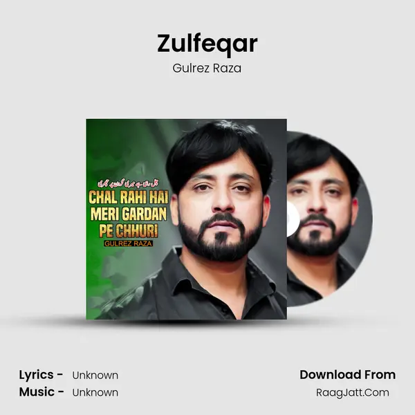 Zulfeqar MP3 Song by Gulrez Raza Cover