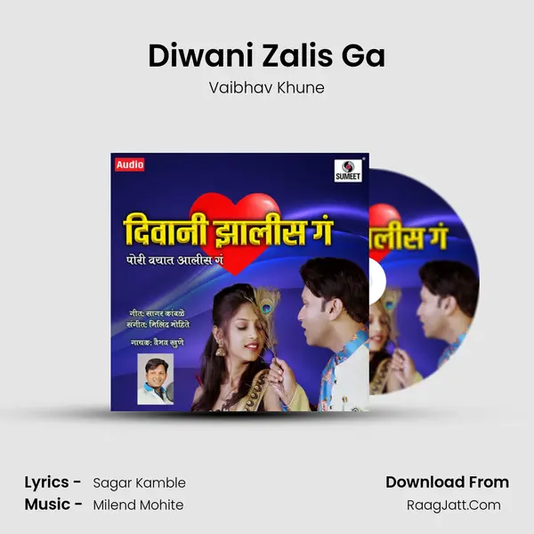 Diwani Zalis Ga mp3 song
