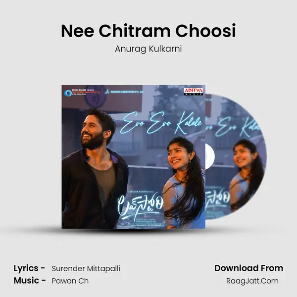 Nee Chitram Choosi MP3 Song by Anurag Kulkarni Cover