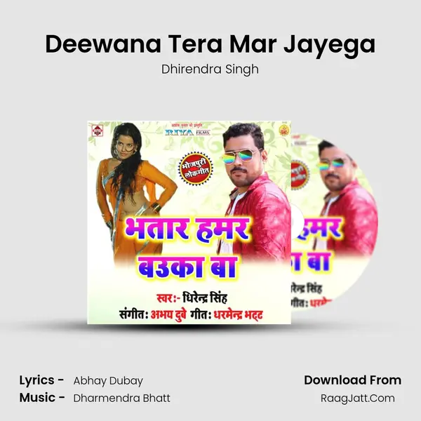Deewana Tera Mar Jayega Cover