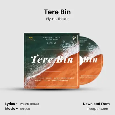Tere Bin MP3 Song by Piyush Thakur Cover