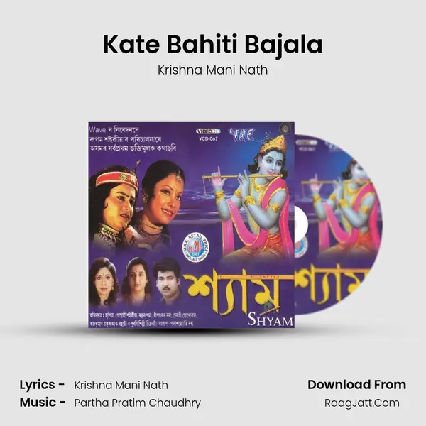 Kate Bahiti Bajala MP3 Song by Krishna Mani Nath Cover