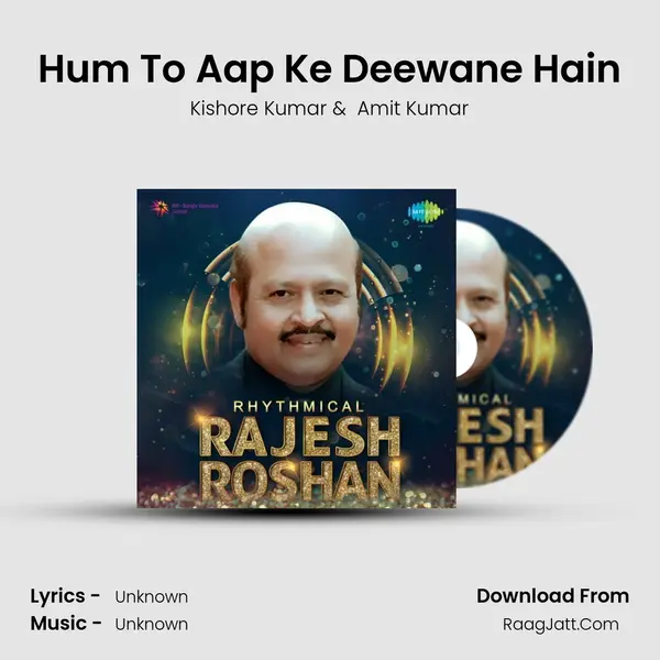 Hum To Aap Ke Deewane Hain Cover