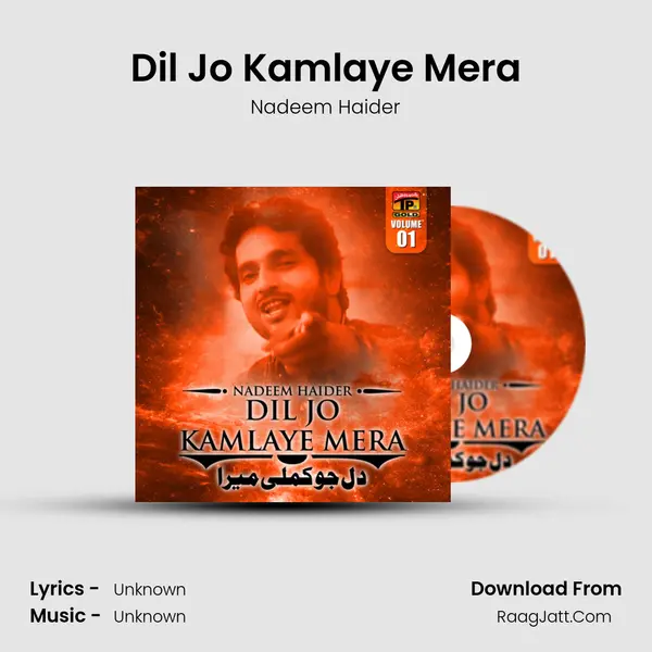 Dil Jo Kamlaye Mera MP3 Song by Nadeem Haider Cover