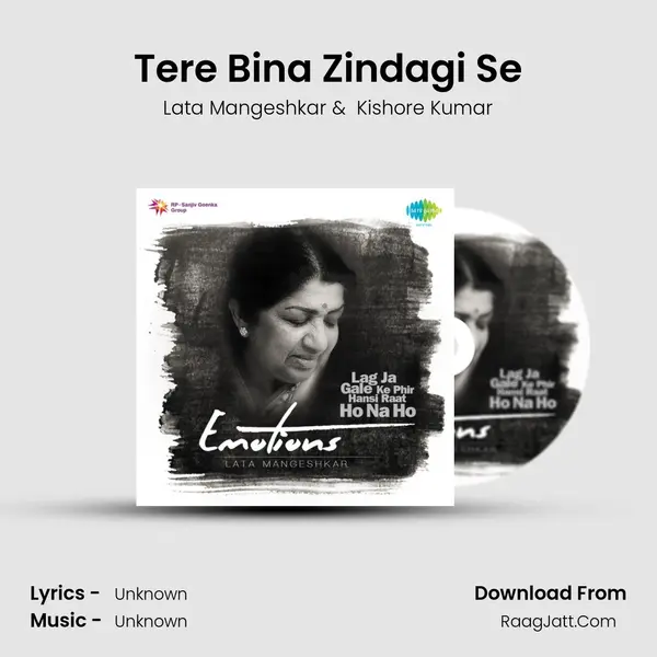 Tere Bina Zindagi Se Cover