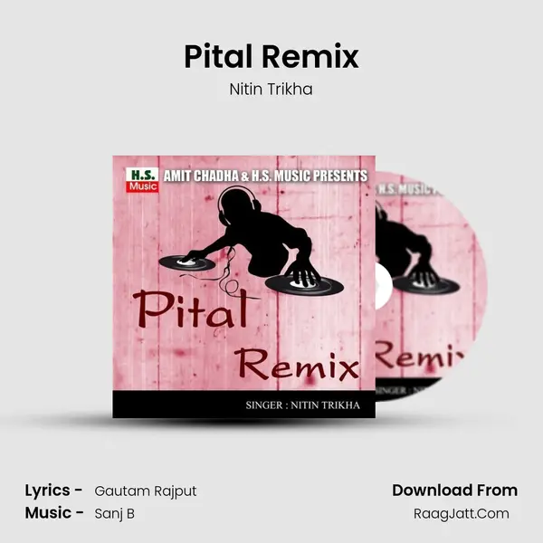 Pital Remix - Nitin Trikha