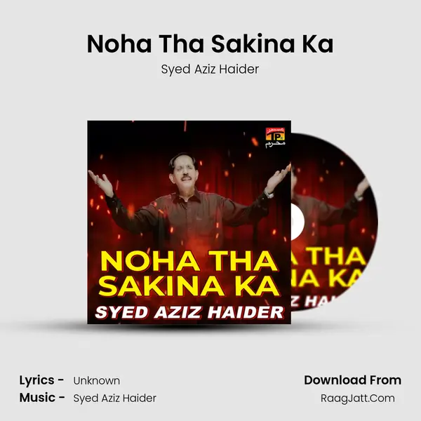 Noha Tha Sakina Ka - Single - Syed Aziz Haider