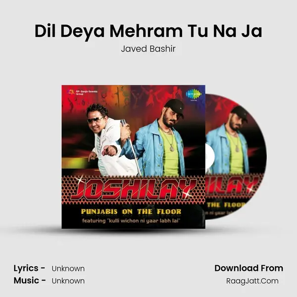 Dil Deya Mehram Tu Na Ja Cover