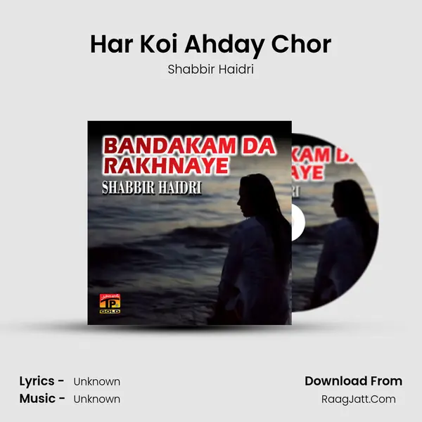 Har Koi Ahday Chor MP3 Song by Shabbir Haidri Cover
