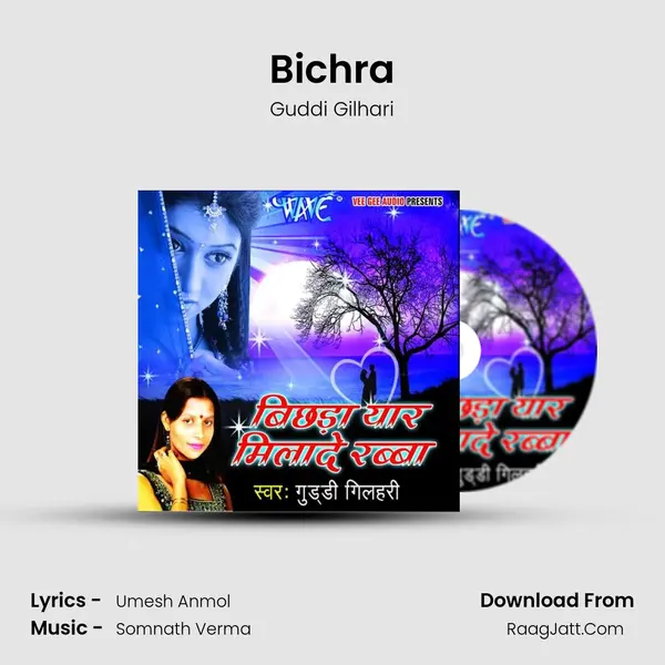 Bichra MP3 Song by Guddi Gilhari Cover