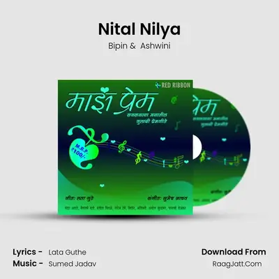 Nital Nilya MP3 Song by Bipin Cover