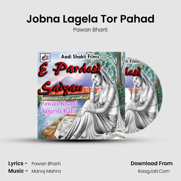 Jobna Lagela Tor Pahad MP3 Song by Pawan Bharti Cover