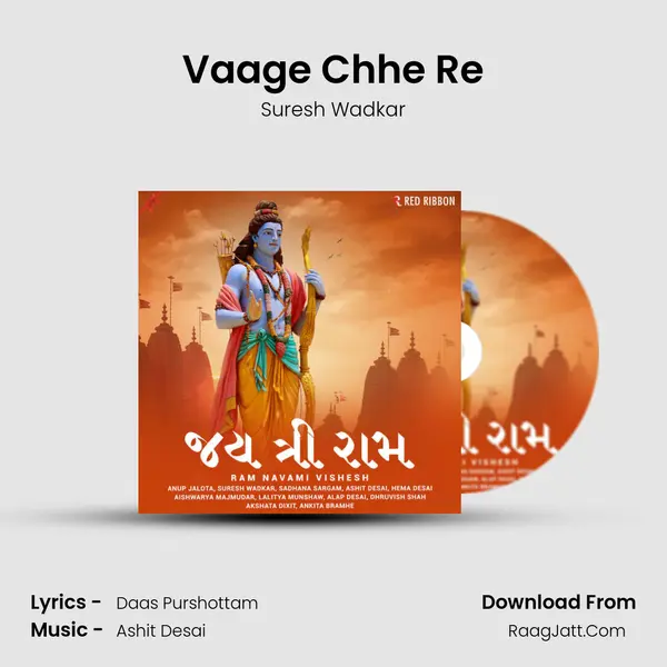 Vaage Chhe Re Cover