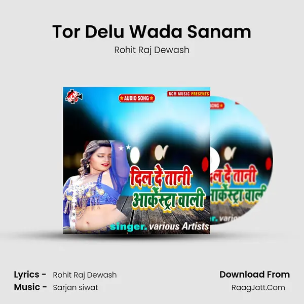 Tor Delu Wada Sanam MP3 Song by Rohit Raj Dewash Cover