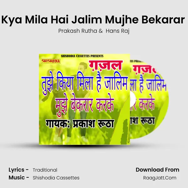 Tujhe Kya Mila Hai Jalim Mujhe Bekarar Karke Cover