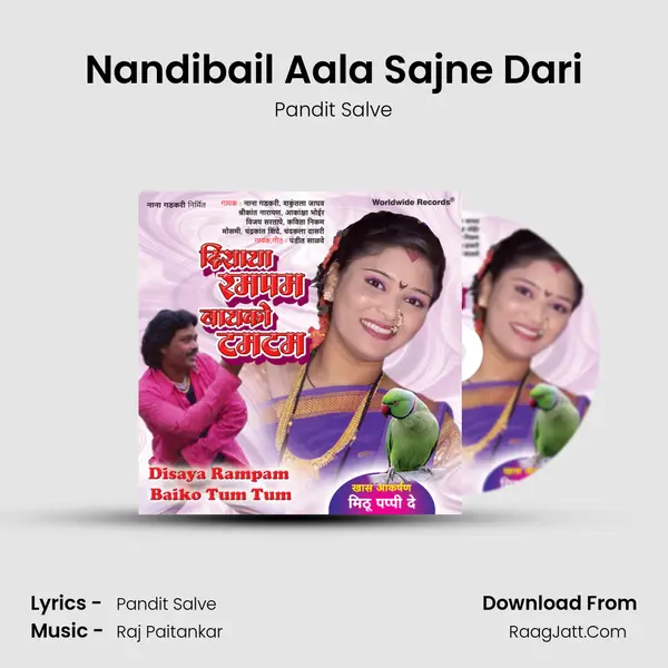 Nandibail Aala Sajne Dari MP3 Song by Pandit Salve Cover