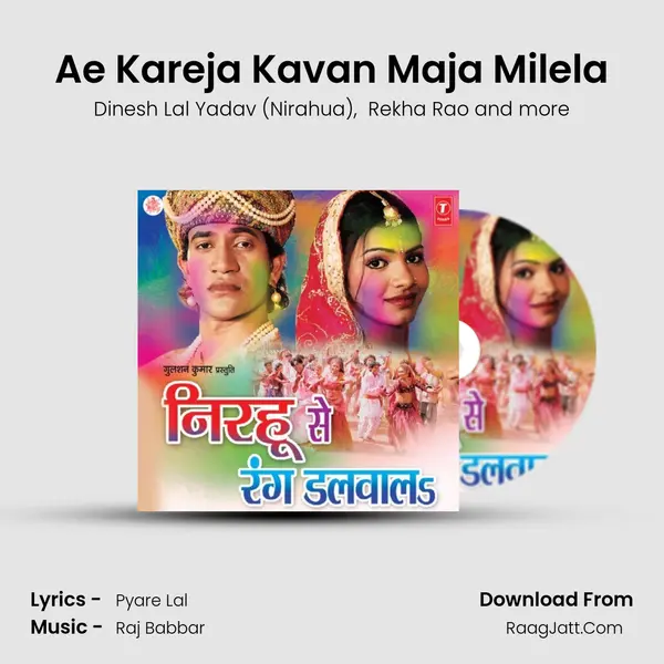 Ae Kareja Kavan Maja Milela MP3 Song by Dinesh Lal Yadav (Nirahua) Cover